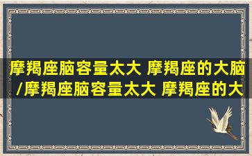 摩羯座脑容量太大 摩羯座的大脑/摩羯座脑容量太大 摩羯座的大脑-我的网站